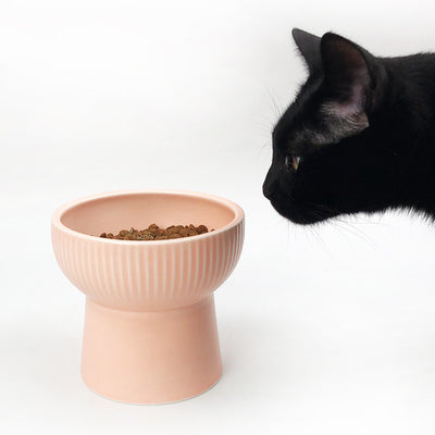 Household pet ceramic bowl