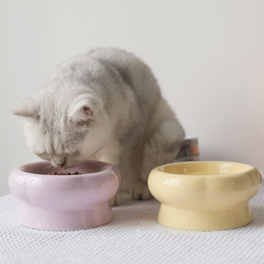 Ceramic Pet Bowl Large Caliber