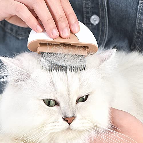 Cat & Dog Grooming Brush