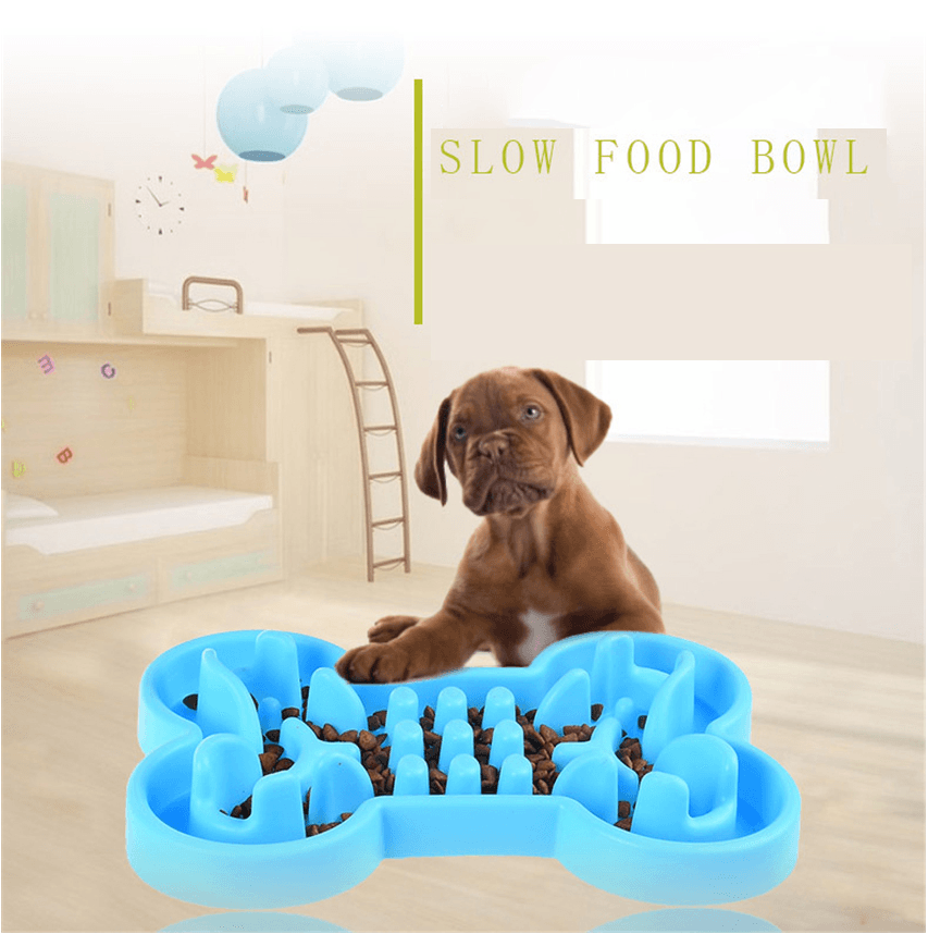 Pet Puzzler: Slow Feed Travel Bowl