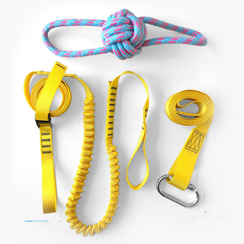 Pet training rope toy set