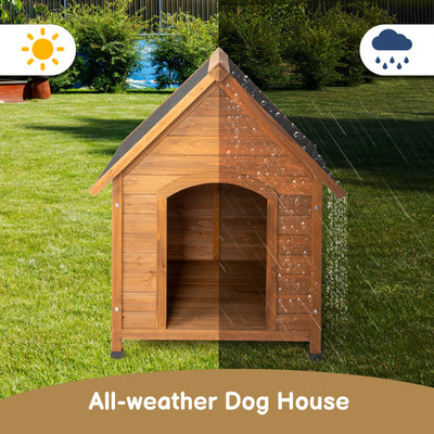 Black Asphalt Roof Dog House