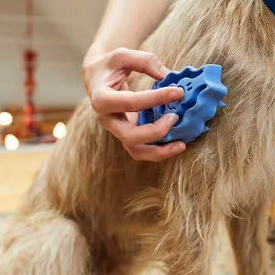 Dog Brush For Grooming And Shampooing - Blue Brush For Dogs